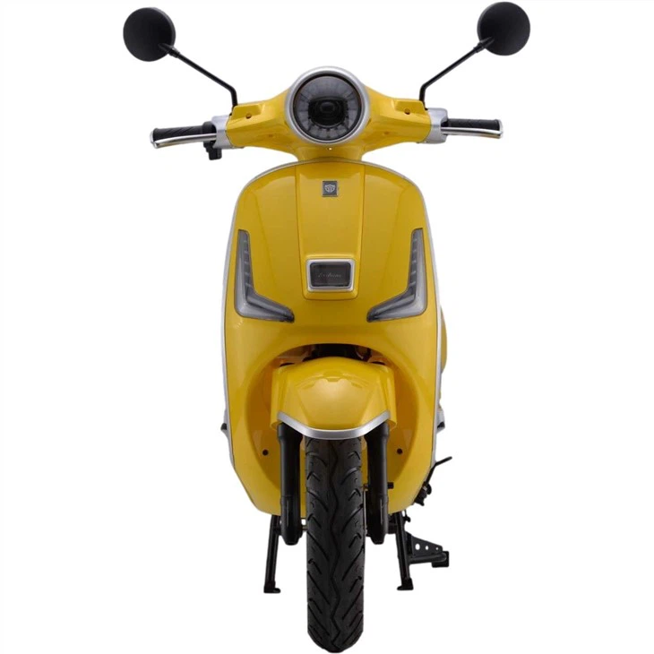 2023 E-Biene 60V3000W 30Ah Lithium Battery 80km Range